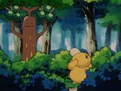 Sudowoodo moves away from Psyduck