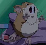 This description is blank. You can improve the Pokémon Wiki by editing this template.