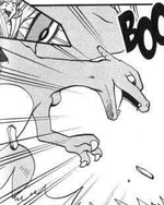 Tucker used Charizard to battle Emerald in his Battle Dome challenge.