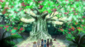 The tree grown by the Pokémon, which evolved from Morelull to Shiinotic