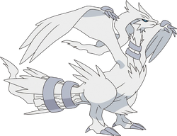 Reshiram (anime), Pokémon Wiki