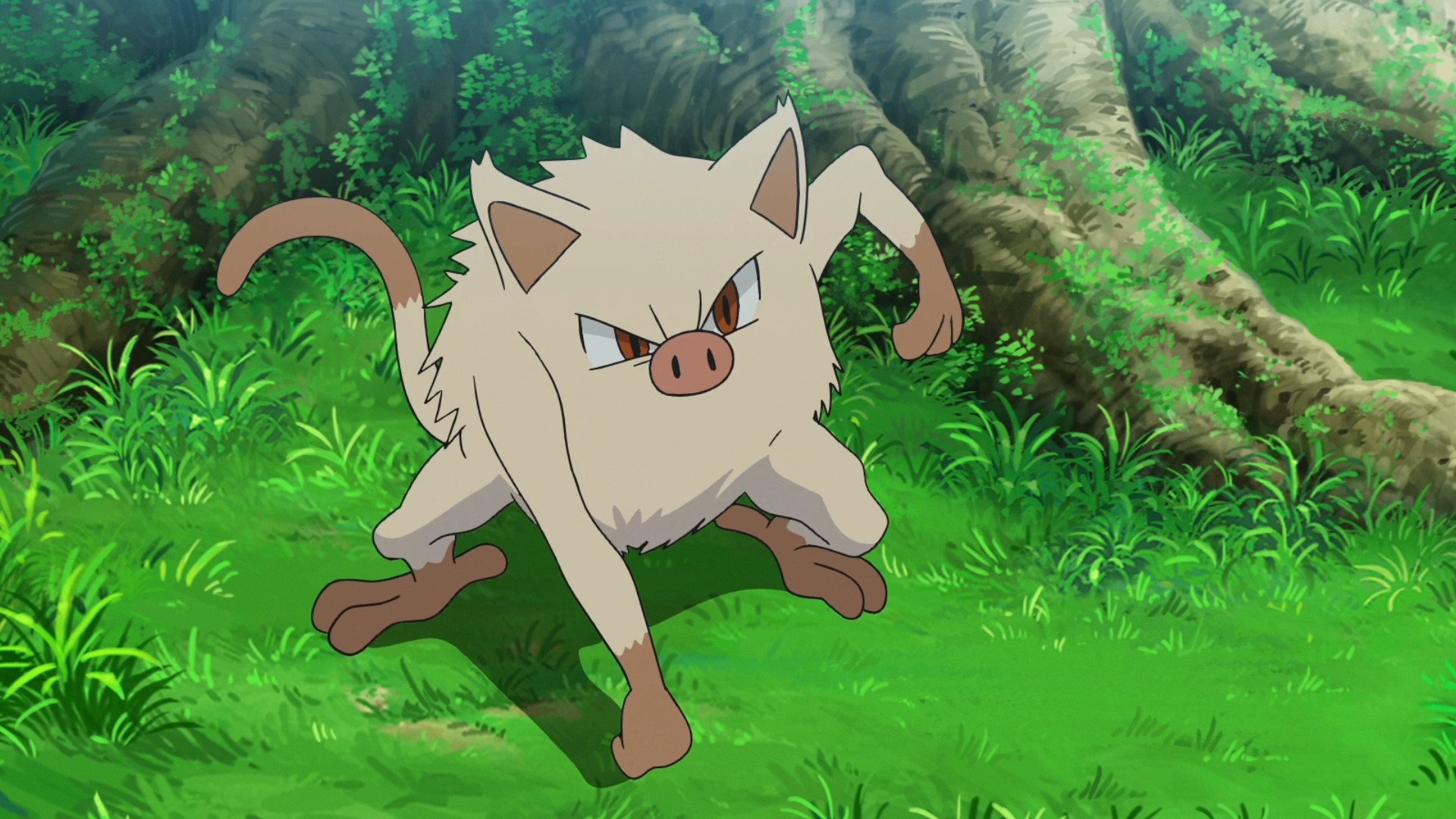 Goh S Mankey Pokemon Wiki Fandom