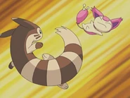 Julie Furret Slam.png (2.01 MB) Slam being used by Julie's Furret.