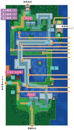 ORAS 110번도로