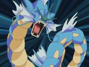 Misty sends Gyarados to battle