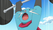 Dewott lifts the weights