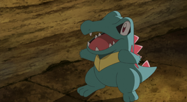 Damos Totodile