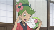 Mallow with Shaymin