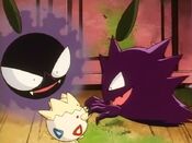 Gastly and Haunter play with Togepi