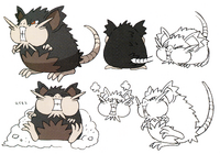 Alolan Raticate concept art