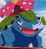 Venusaur was the fourth Pokémon that Drake used in his battle with Ash, who used Tauros against it. Though powerful it was no match for the mighty steer.