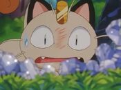 Meowth failed to secure the bell