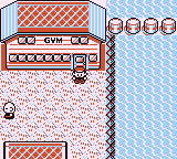 After the player retrieves the Secret Key from the Pokémon Mansion, they can enter the gym.