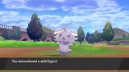 Espurr sword and shield