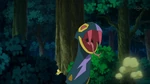 Schwarz chased N with his Seviper.
