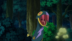 Schwarz's Seviper.