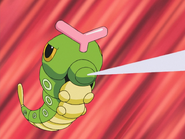 Xander Caterpie String Shot