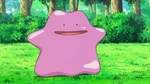 Narissa used her normal Ditto, nicknamed Ditto 1, in many of her battles to confuse her opponents.