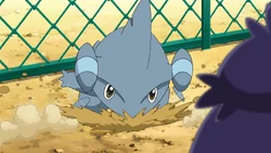 Dig being used by Iris's Gible.