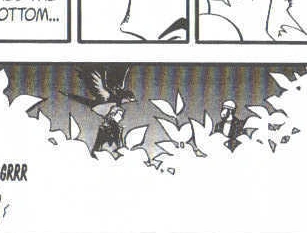 Maxie S Swellow Pokemon Wiki Fandom