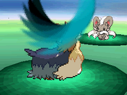 Tail Slap depicted in Generation V