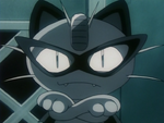 The Black Arachnid had a Meowth, who used Pay Day to distract police officers.