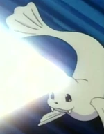 Dewgong was only seen in Lorelei's lecture fighting a trainer's Marowak.