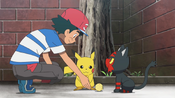 Ash tries to give Litten the fruit