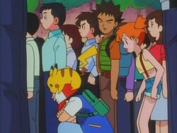 Dig Those Diglett Pokemon Wiki Fandom