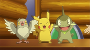 Axew, Pidove and Pikachu are healed