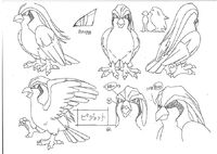 Pidgeot concept art