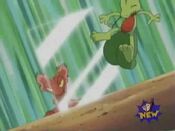 Treecko fails to attack Meg, due to Reflect