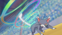 Signal Tail.png