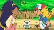 Oshawott appears