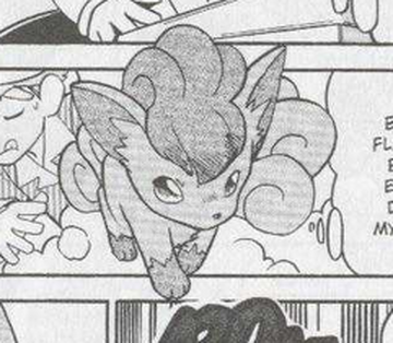 Bill S Vulpix Pokemon Wiki Fandom Bill S Vulpix Pokemon Wiki Fandom
