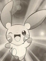 Minun was given as an egg by Hareta's father, Kaisei. It hatched in the rampage with Heatran.