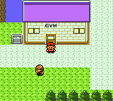 Violet City - Gym