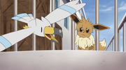 Where Are You Going, Eevee? 1