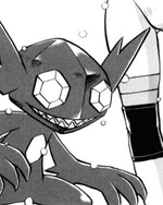 This description is blank. You can improve the Pokémon Wiki by editing this template.