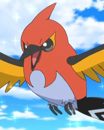Nico S Fletchinder Pokemon Wiki Fandom