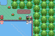 Speaking with this elderly woman gives the player a Chesto Berry.