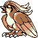 0018Pidgeot Gr.png (3 KB) Pidgeot's Pocket Monsters Green sprite