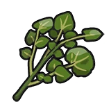 How To Get A Herba Mystica In Pokémon Violet - Foto 12