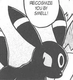 Umbreon was initially seen as a Eevee during the flashback where Green and Silver attempted to escape from the Masked Man's base. It was ordered by Karen to attack the escaping pair, leaving Silver grievously injured. It later appeared as a fully evolved Umbreon at the Pokéathlon Dome alongside Karen and the other Elite Four during the HeartGold and SoulSilver Chapter.