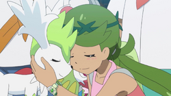 Shaymin (forma cielo), Wiki