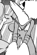 Blast Burn being used by Sapphire's Blaziken.