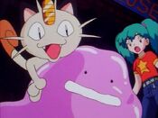 Meowth takes Ditto away