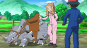 Serena teaches Ash how to become a Rhyhorn racer