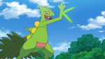 The King of Pokélantis used Ash's Sceptile to battle against Brandon's Regirock but lost despite having a type advantage.