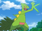 Ash's Sceptile